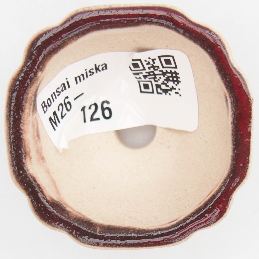 Mini miska do bonsai 4,5 x 4,5 x 2,5 cm, kolor czerwony