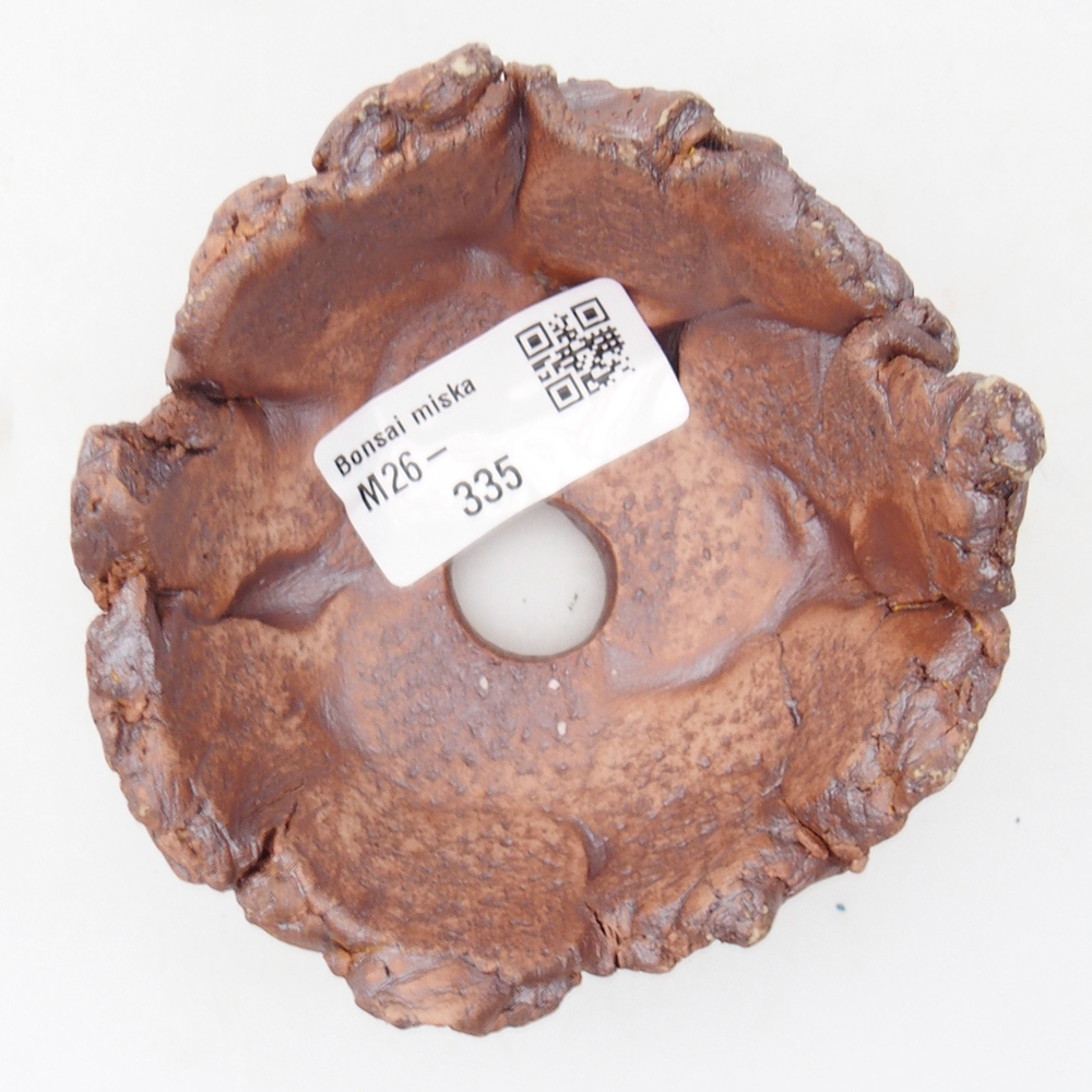 Muszla ceramiczna 9 x 9 x 5,5 cm, kolor brązowy