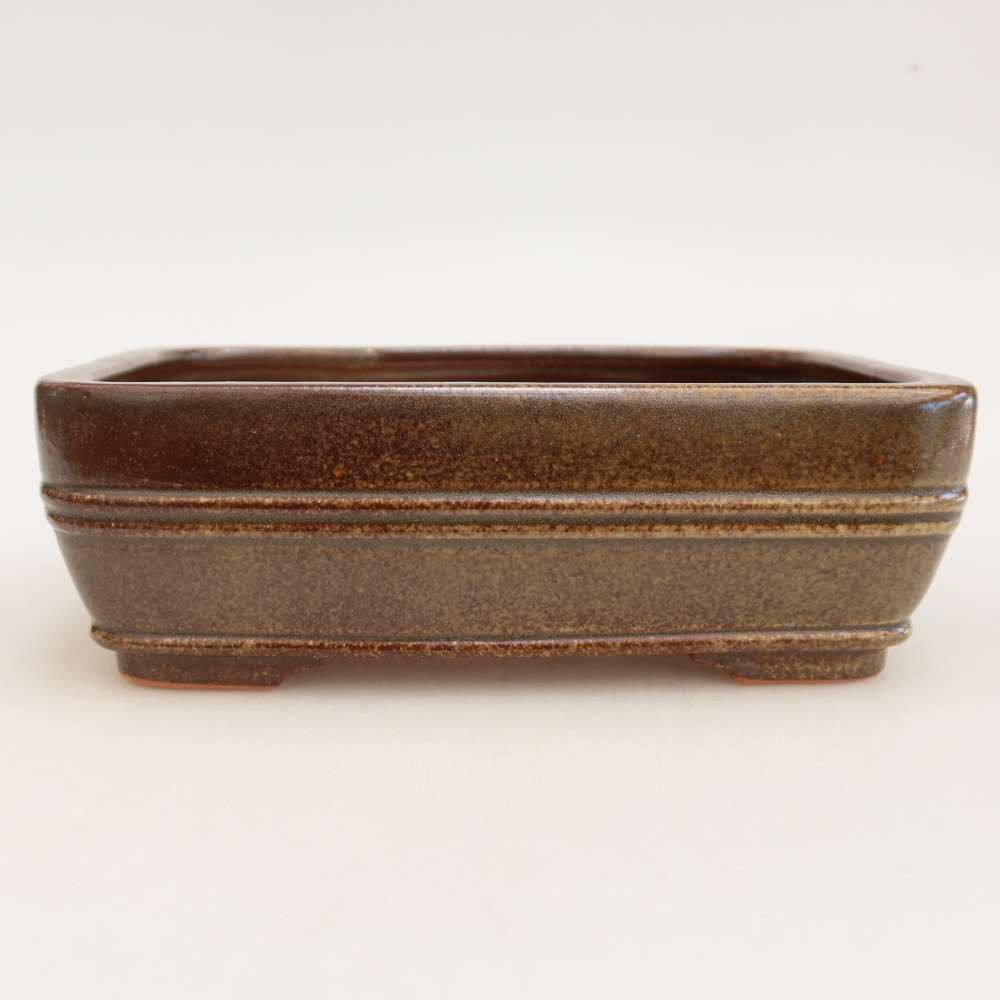 Ceramiczna miska do bonsai 17 x 12,5 x 5,5 cm, kolor brązowy