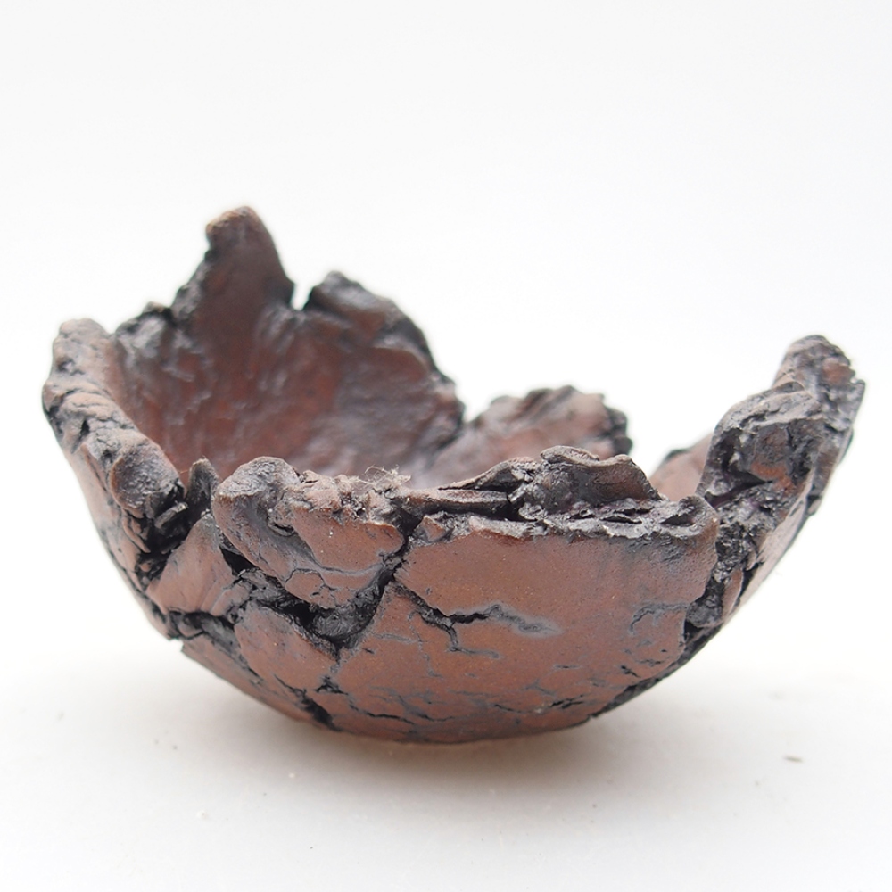 Muszla ceramiczna 7 x 8 x 5,5 cm, kolor brązowy
