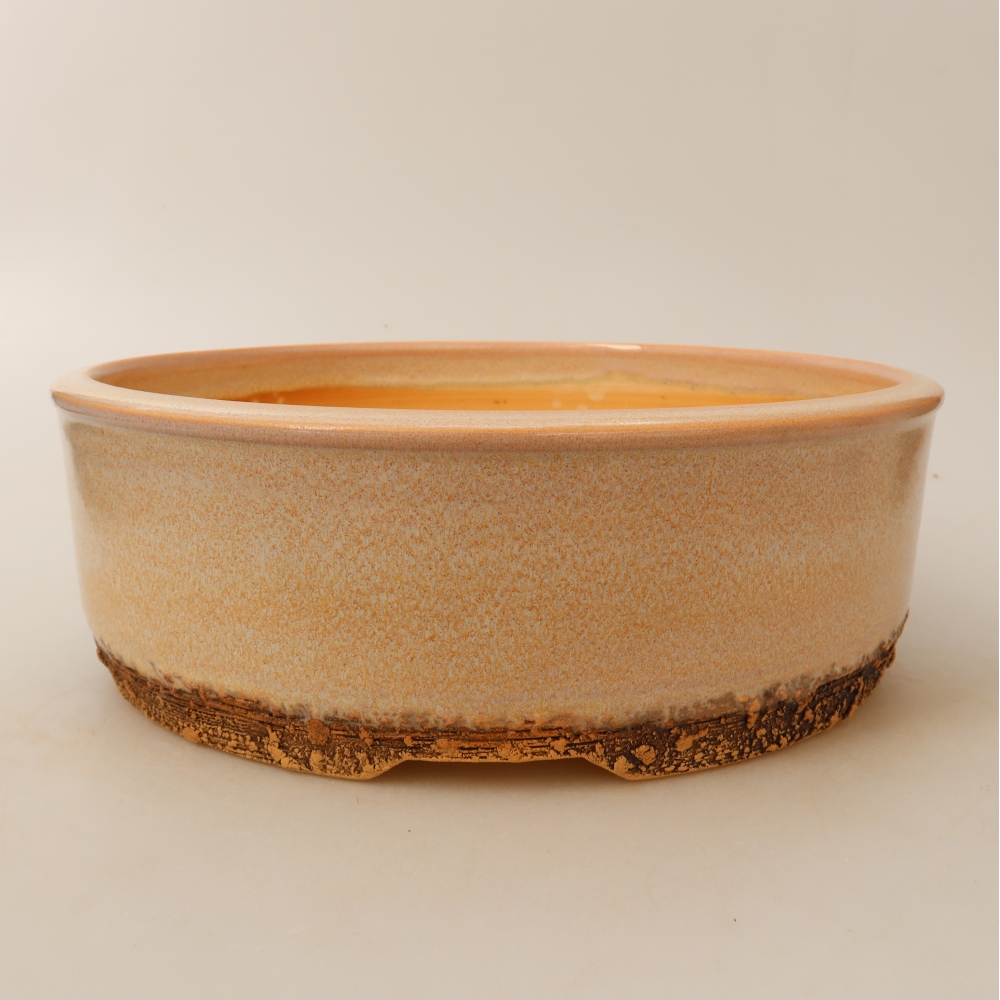 Ceramiczna miska do bonsai 24,5 x 24,5 x 8 cm, kolor beżowy