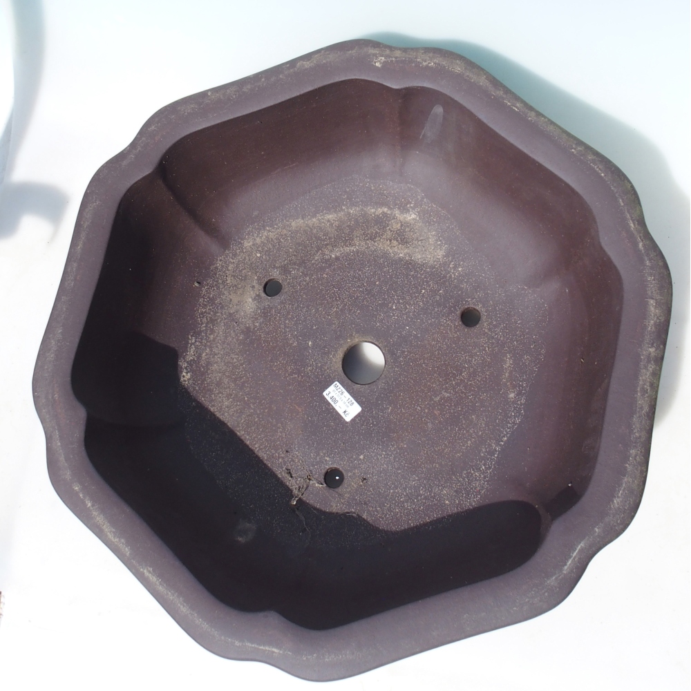 Misa do bonsai 61 x 57,5 x 18 cm - brązowa