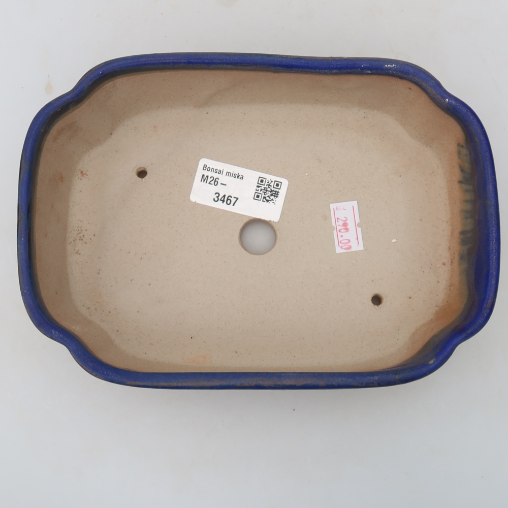Ceramiczna miska do bonsai 18,5 x 13 x 5 cm, kolor niebieski