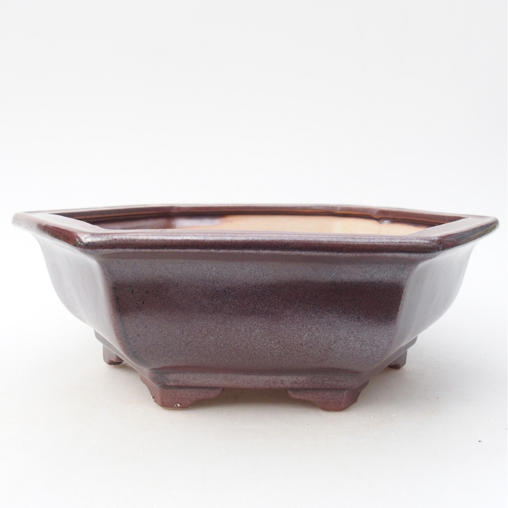 Ceramiczna miska do bonsai 24 x 21 x 7,5 cm, kolor bordowy