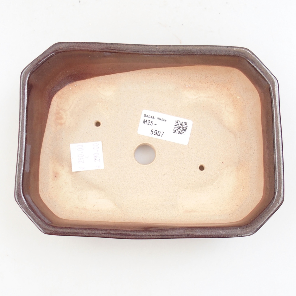Ceramiczna miska bonsai 19 x 13,5 x 4,5 cm, kolor brązowy