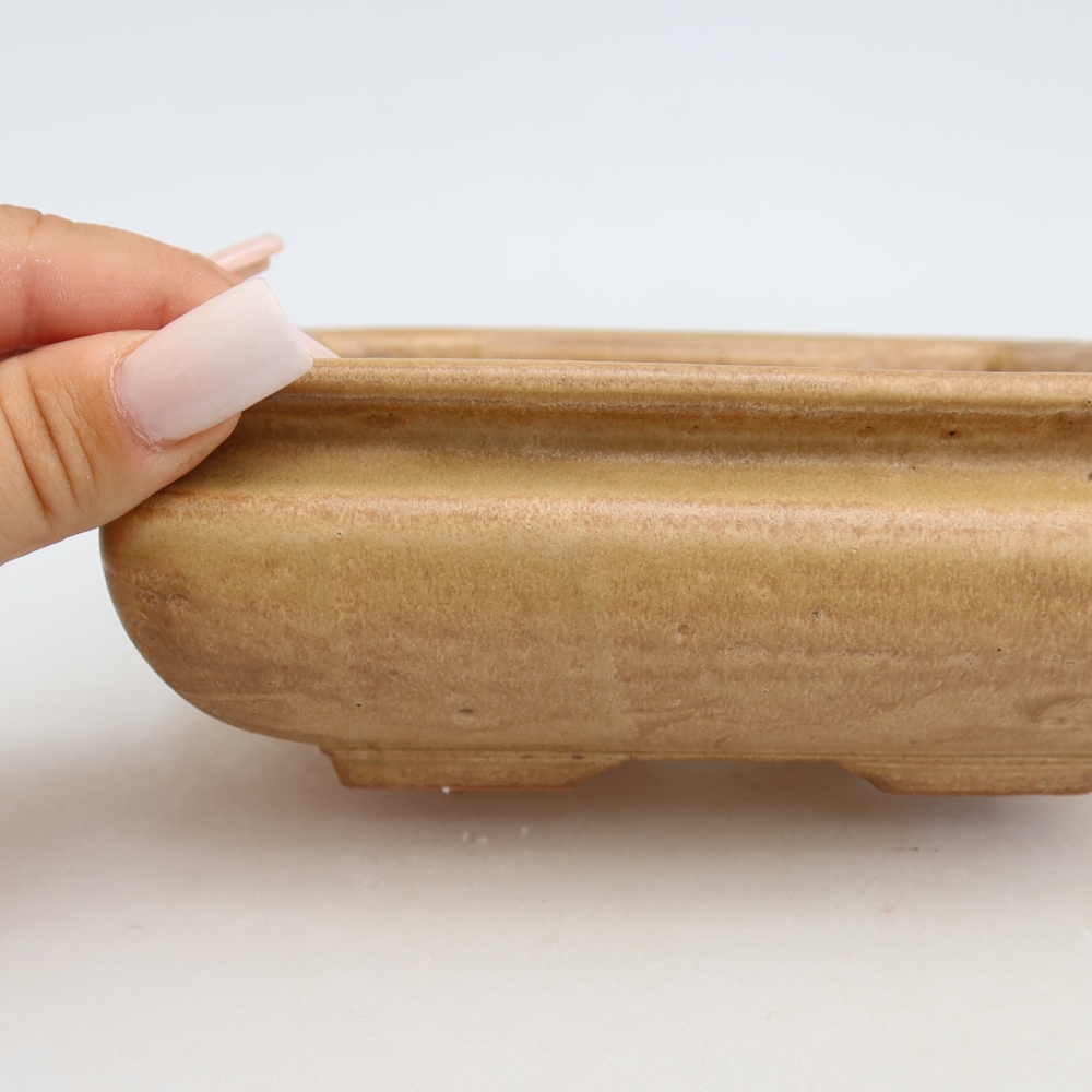Ceramiczna miska do bonsai 15,5 x 15,5 x 6 cm, kolor beżowy