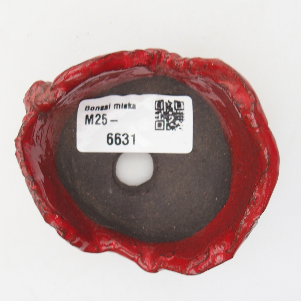 Ceramiczna muszla 7,5 x 7 x 4,5 cm, kolor czerwony