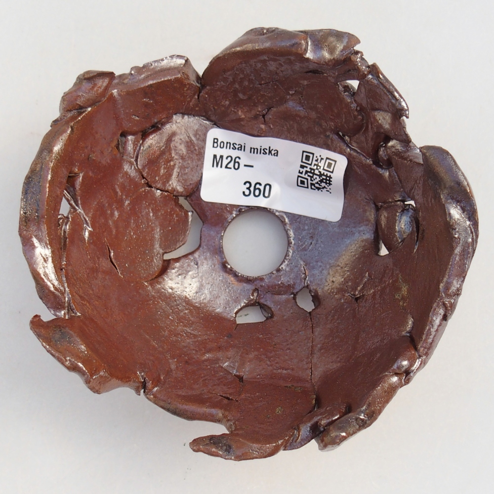 Muszla ceramiczna 10 x 10 x 5 cm, kolor brązowy