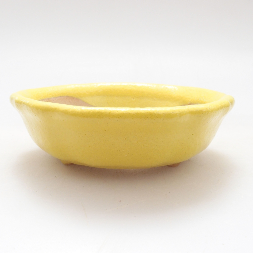 Ceramiczna miska bonsai 7 x 7 x 2 cm, żółta