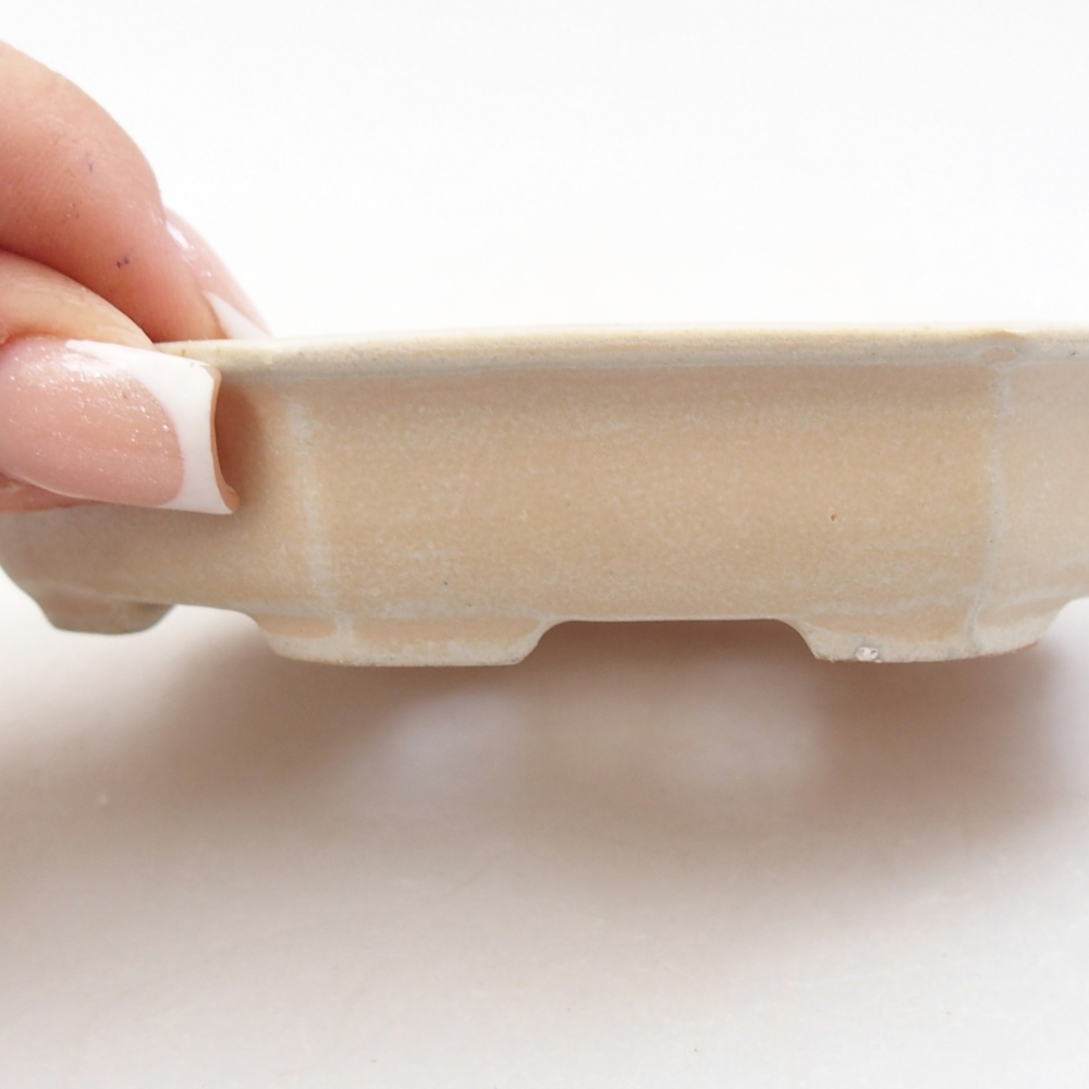 Ceramiczna miska do bonsai 11,5 x 11,5 x 2 cm, kolor beżowy