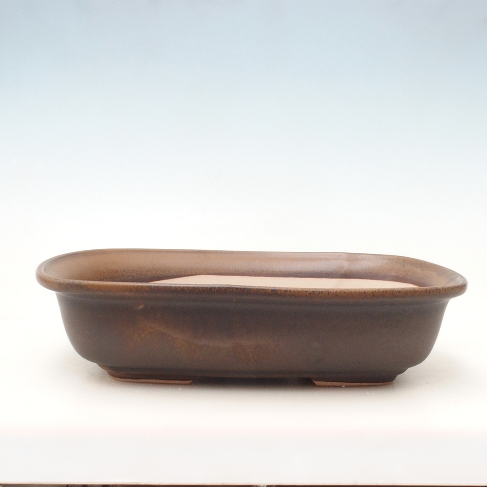 Bonsai bowl H10 - 37 x 28 x 9 cm. - brązowy