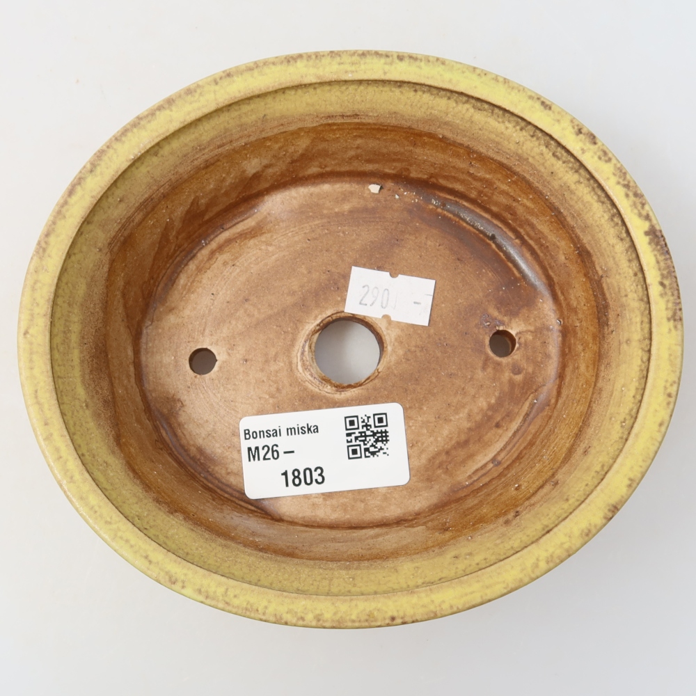 Ceramiczna miska do bonsai 14,5 x 12,5 x 4 cm, kolor żółty