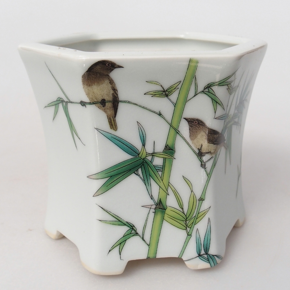 Ceramiczna miska do bonsai 10,5 x 9,5 x 9 cm, kolor biały