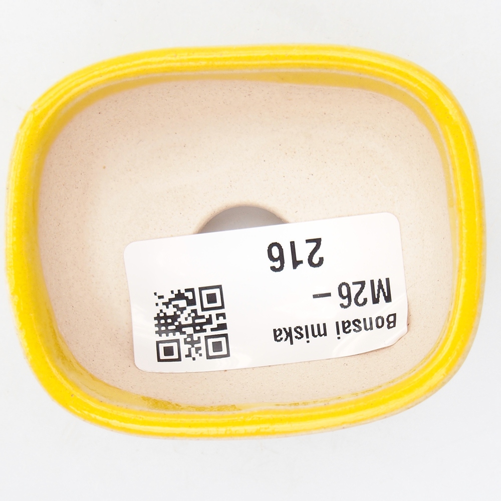 Mini miska do bonsai 6 x 5 x 2,5 cm, żółta