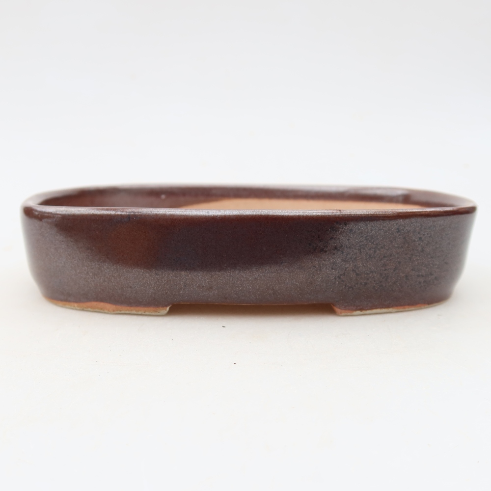 Ceramiczna miseczka do bonsai 16 x 11 x 3,5 cm, kolor brązowy
