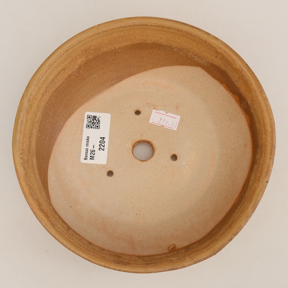 Ceramiczna miska do bonsai 17,5 x 17,5 x 4,5 cm, kolor beżowy