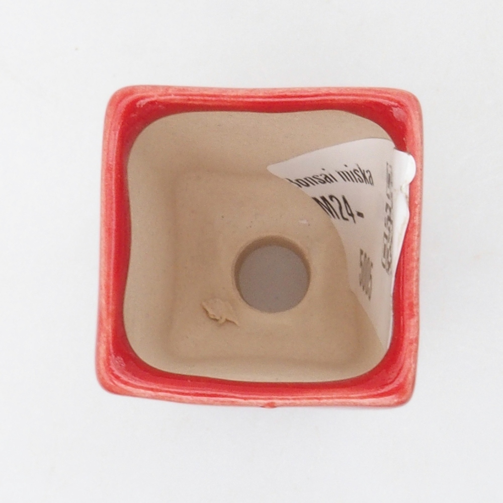 Mini miska bonsai  3 x 3 x 5,5 cm, kolor czerwony
