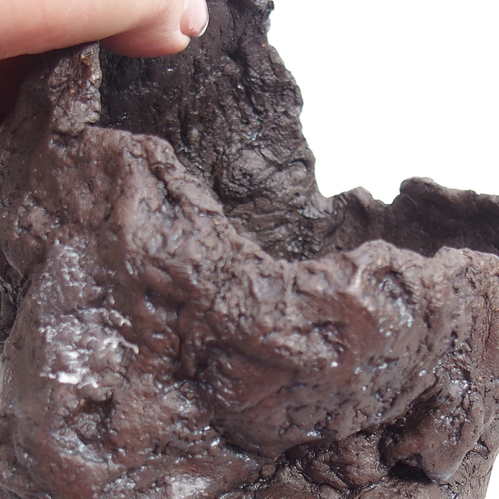 Ceramiczna muszla 11 x 10 x 14 cm, kolor brązowy