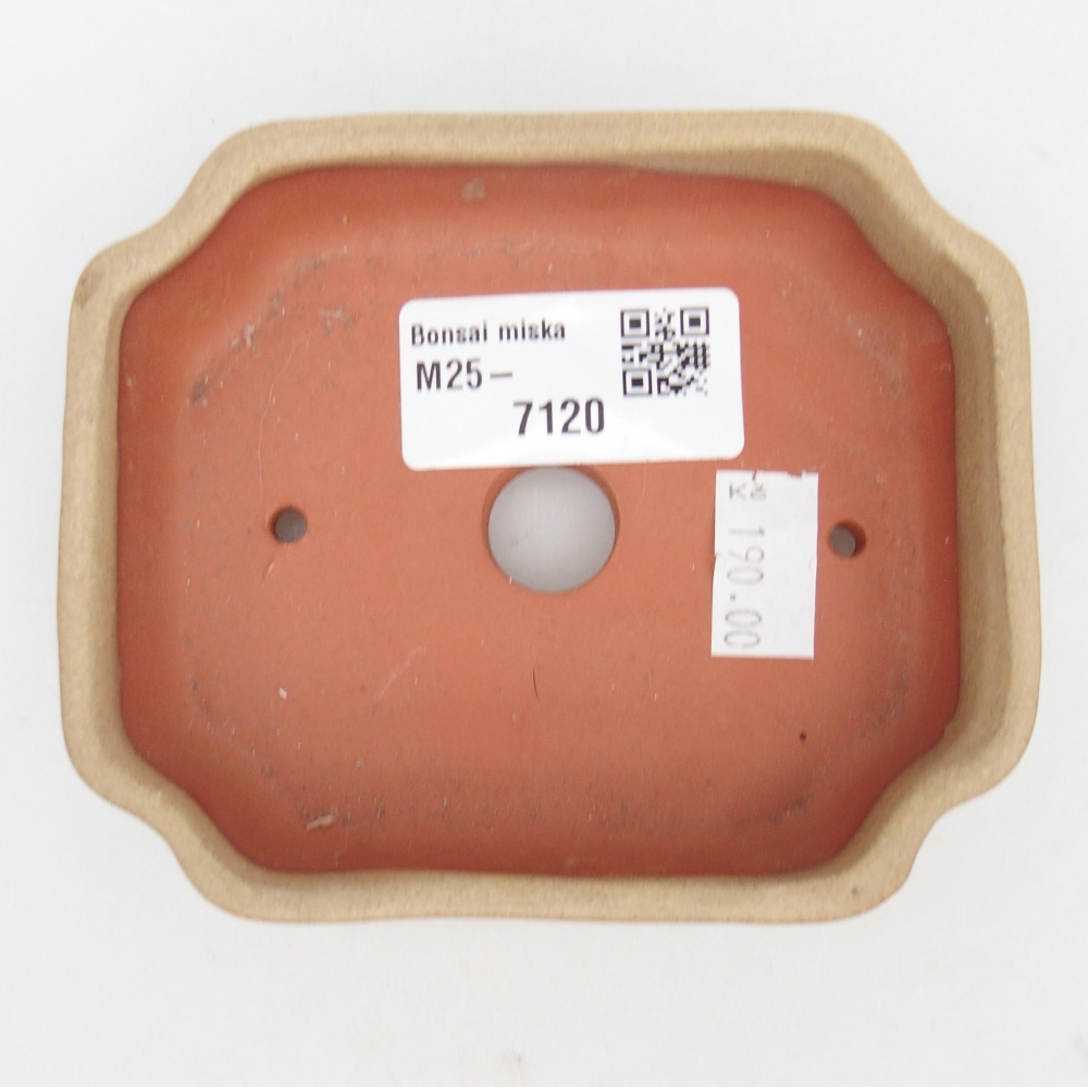 Ceramiczna miska do bonsai 10 x 8,5 x 2,5 cm, kolor beżowy