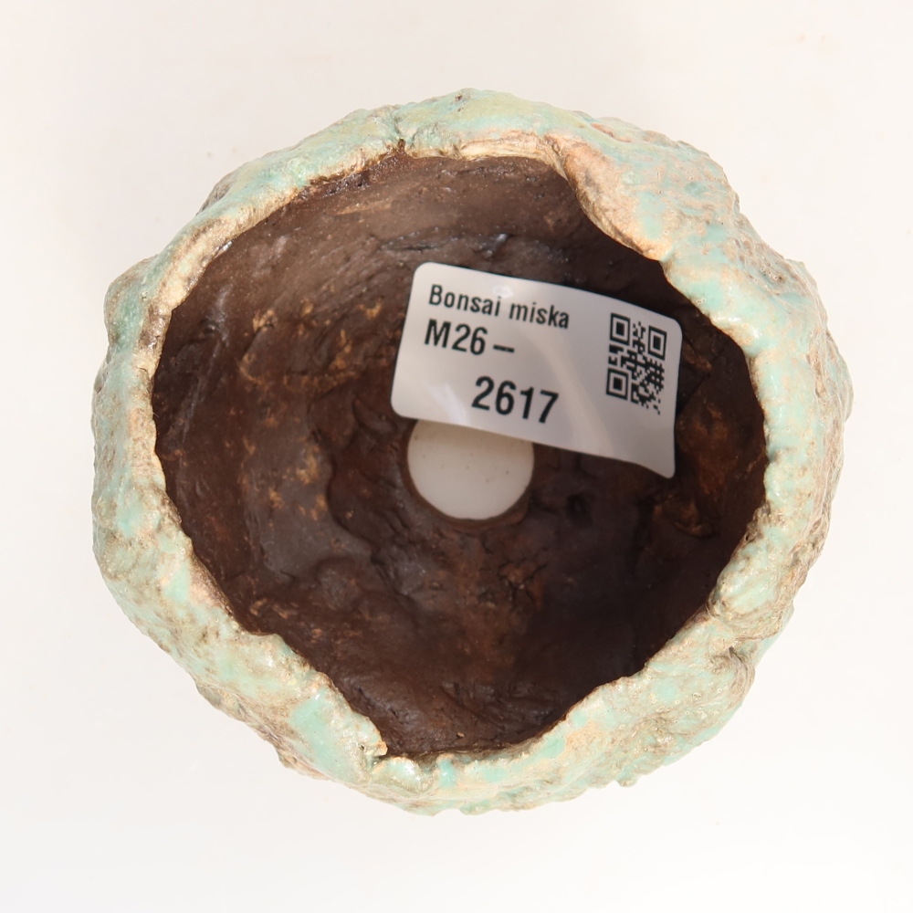 Ceramiczna skorupka  7 x 7 x 6 cm, kolor zielony