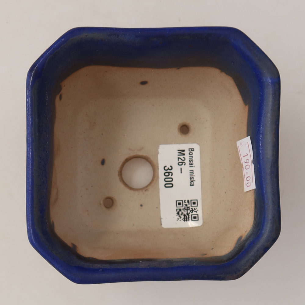 Ceramiczna miska do bonsai 10 x 10 x 6,5 cm, kolor niebieski