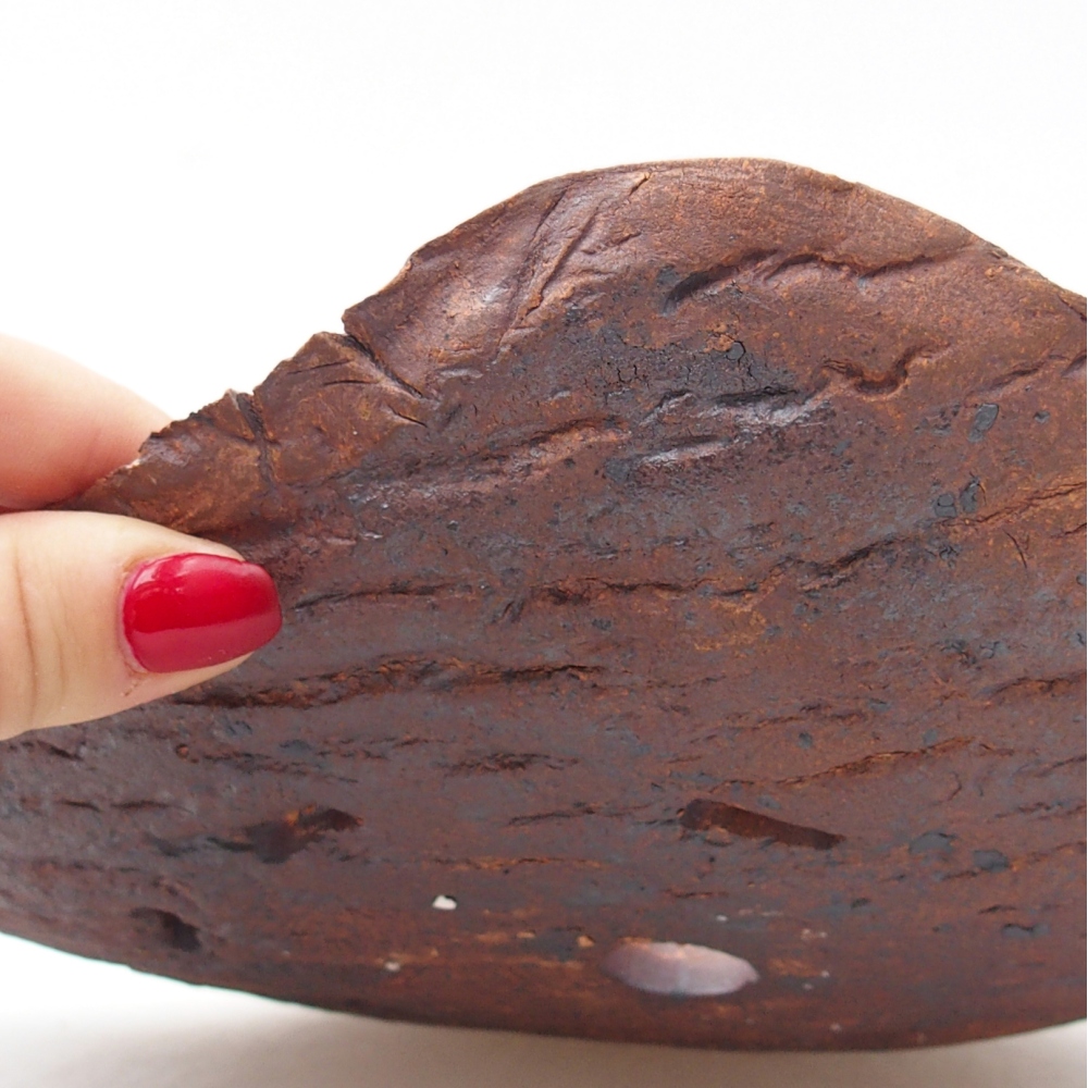 Ceramiczna muszla 27,5 x 19,5 x 6 cm, kolor brązowy