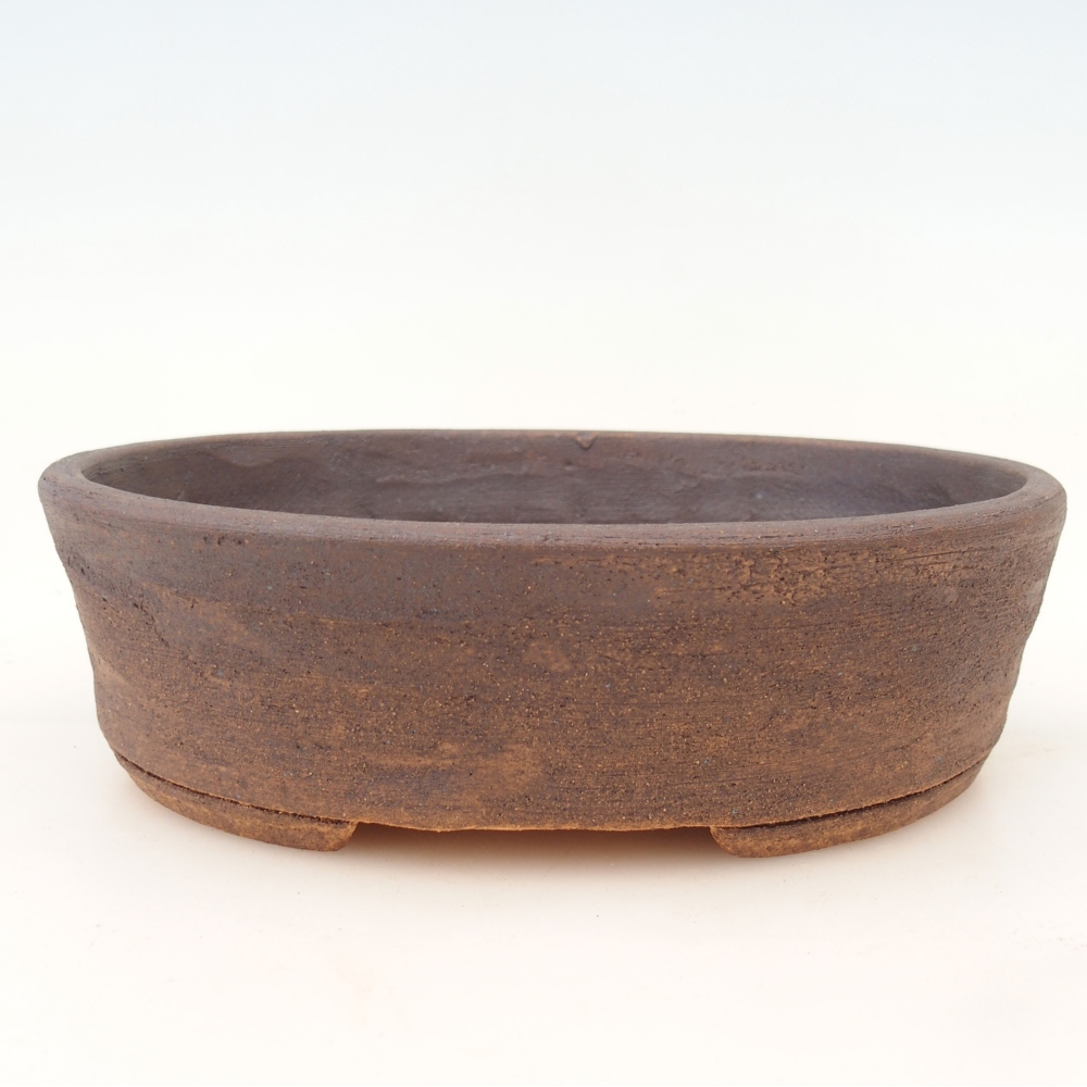 Misa bonsai 19,5 x 16 x 6 cm, kolor brązowy