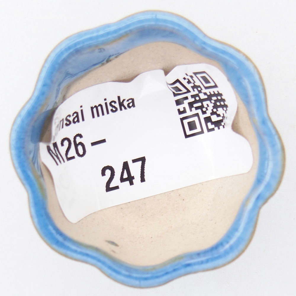 Mini miska do bonsai 4 x 4 x 2 cm, niebieska