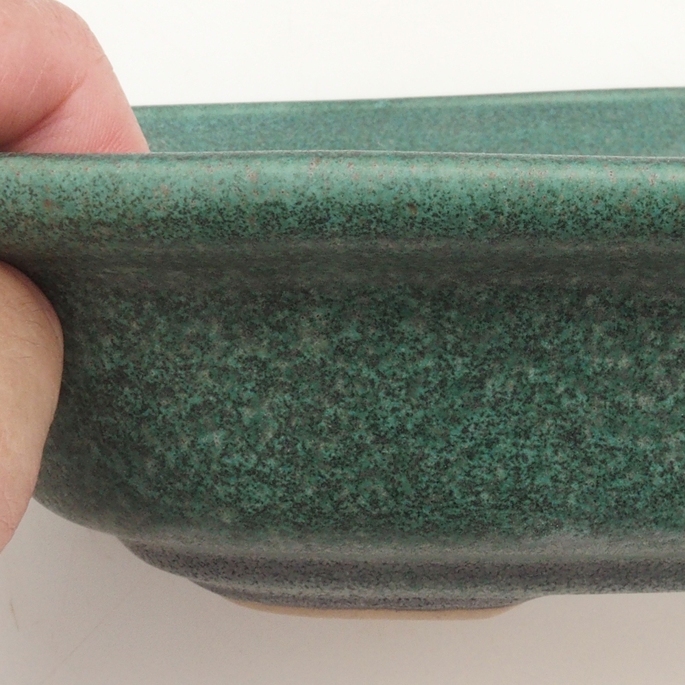 Bonsai bowl H25 - 23 x 17 x 5,5 cm. - zielony