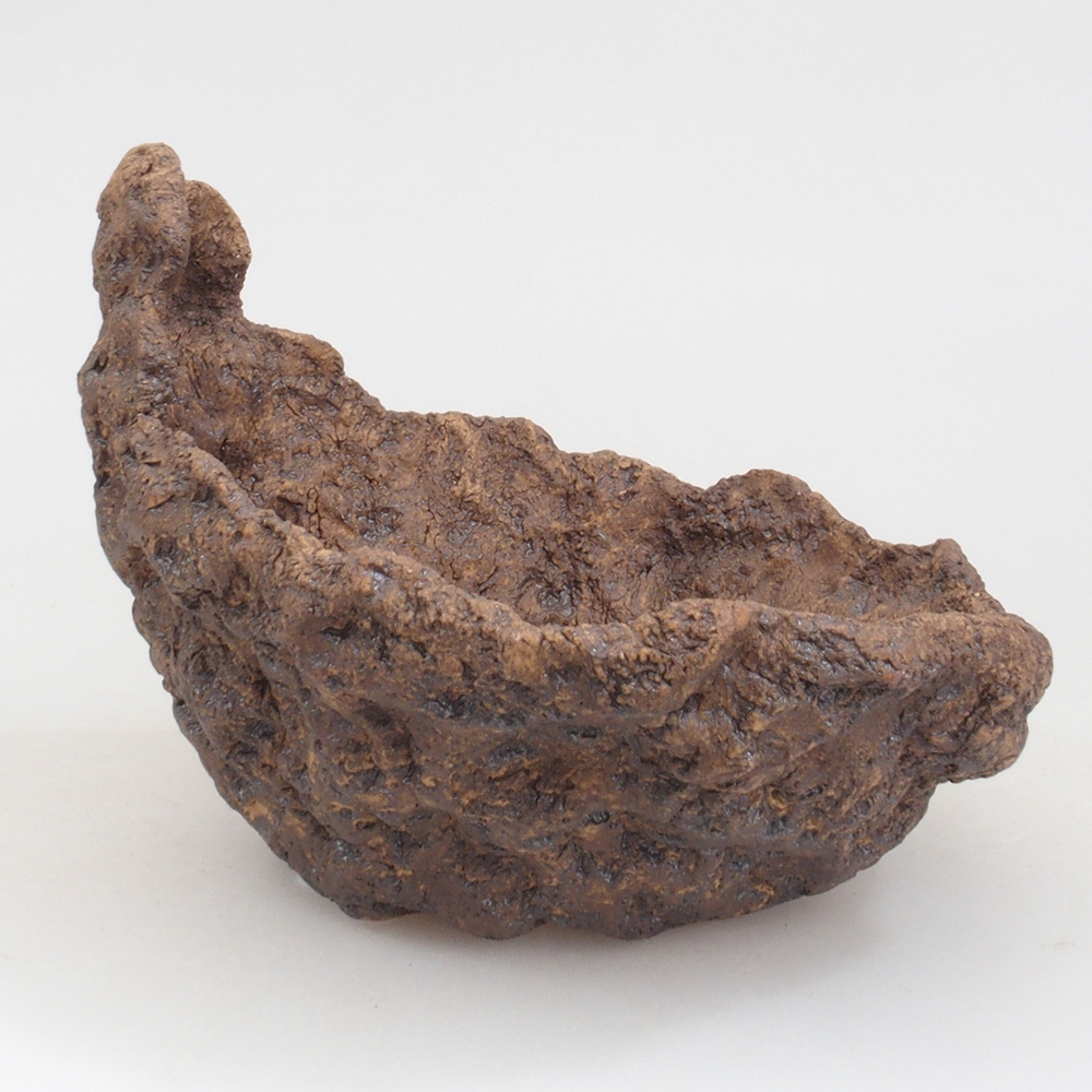 Muszla ceramiczna 12,5 x 11 x 11,5 cm, kolor brązowy