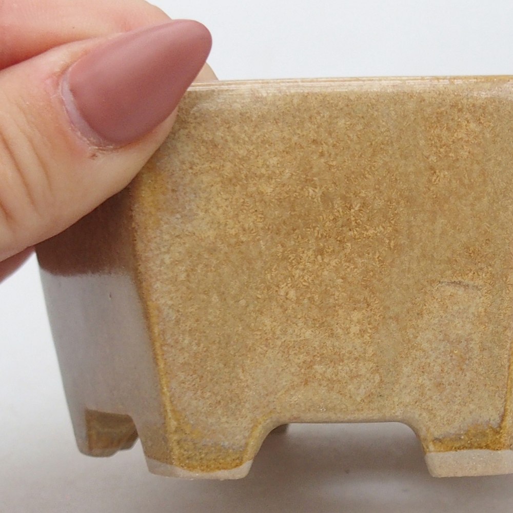 Ceramiczna miska do bonsai 10,5 x 9,5 x 5 cm, kolor beżowy