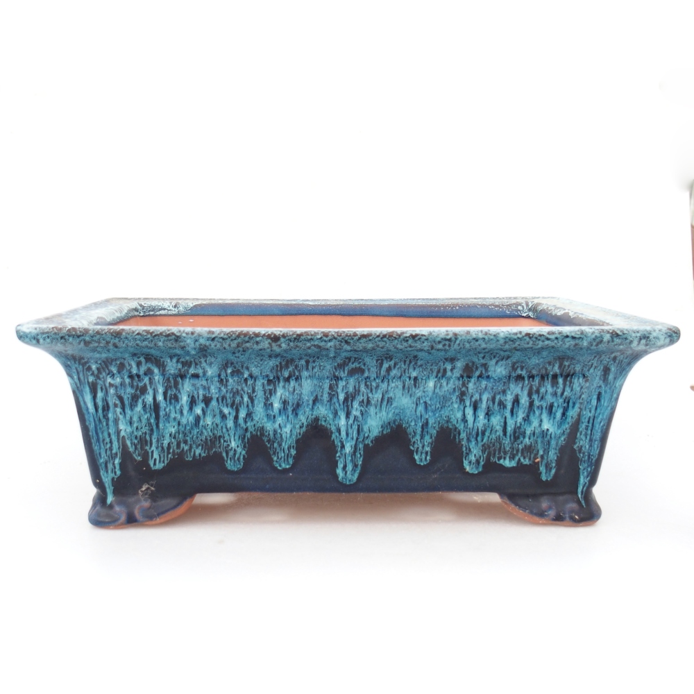 Miska 31,5 x 21,5 x 10,5 cm kolor niebieski