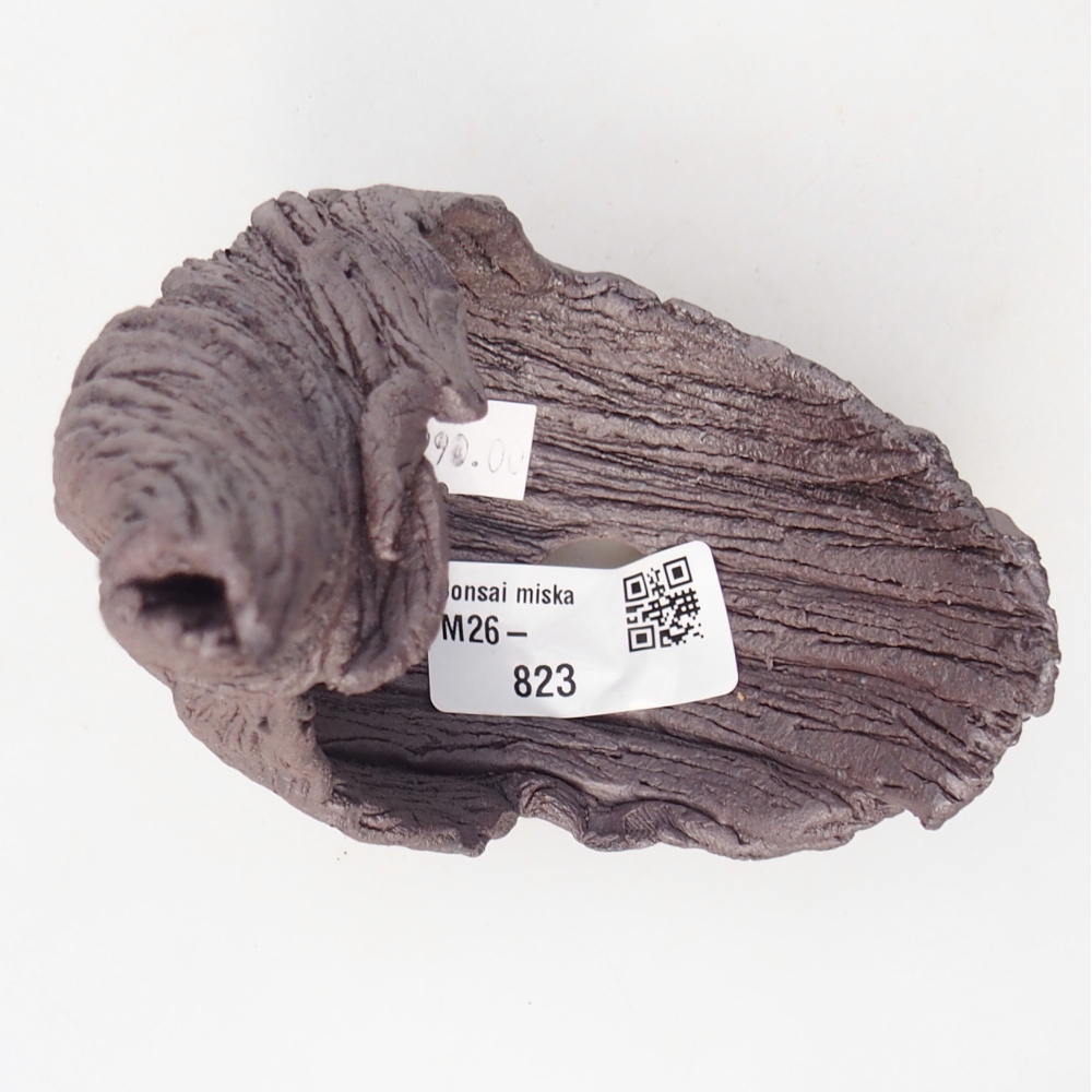 Muszla ceramiczna 10 x 7,5 x 14,5 cm, kolor metaliczny