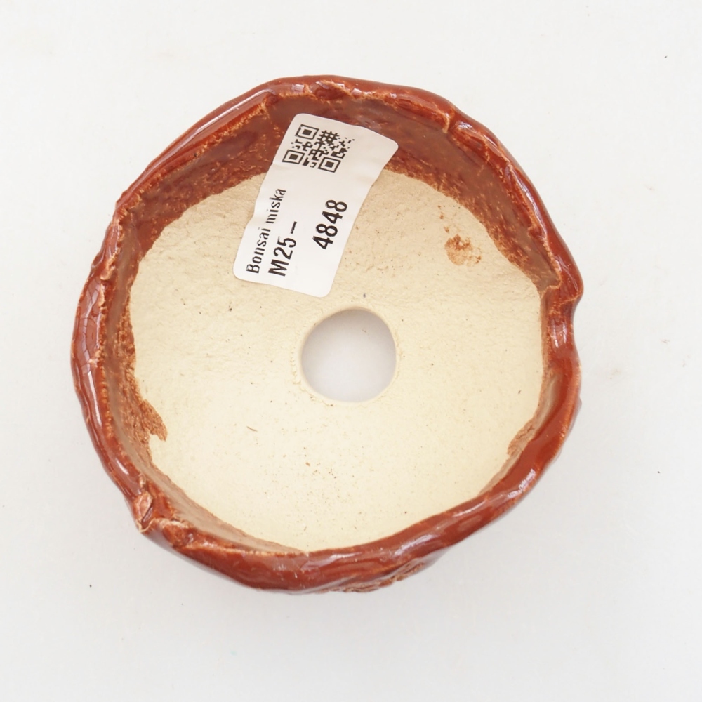 Muszla ceramiczna 7,5 x 7,5 x 6 cm, kolor brązowy