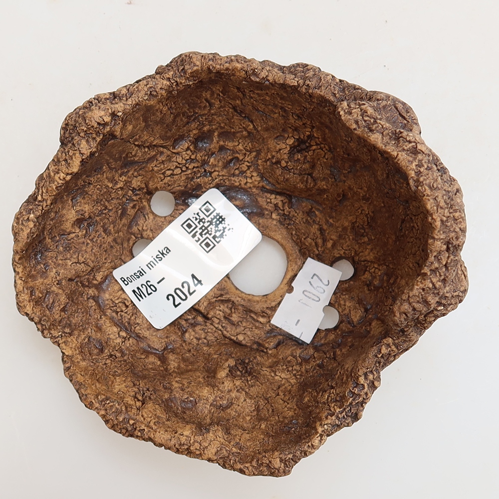 Ceramiczna muszla 10 x 10 x 8 cm, kolor brązowy