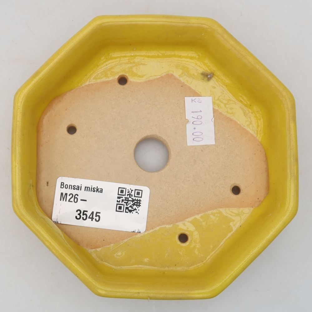 Ceramiczna miseczka do bonsai 11,5 x 11,5 x 2,5 cm, kolor żółty