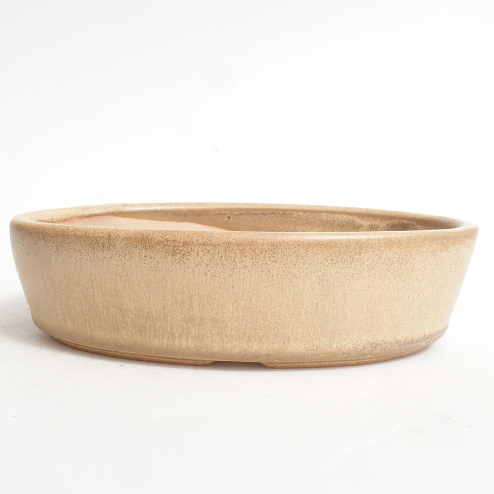 Ceramiczna miska bonsai 16,5 x 11 x 4 cm, kolor beżowy