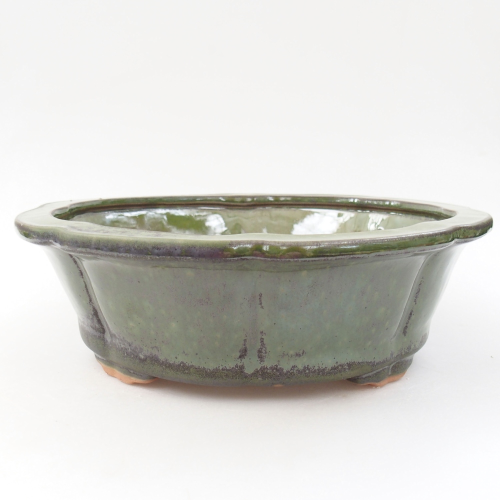 Ceramiczna miska bonsai 26 x 26 x 8 cm, kolor zieliony