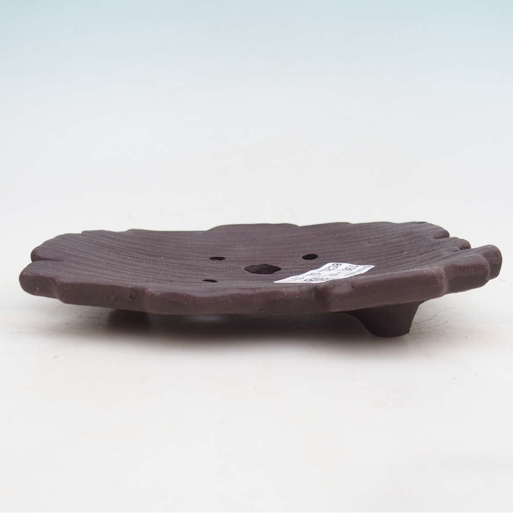 Ceramiczna skorupa 16 x 12 x 3 cm, kolor brązowy