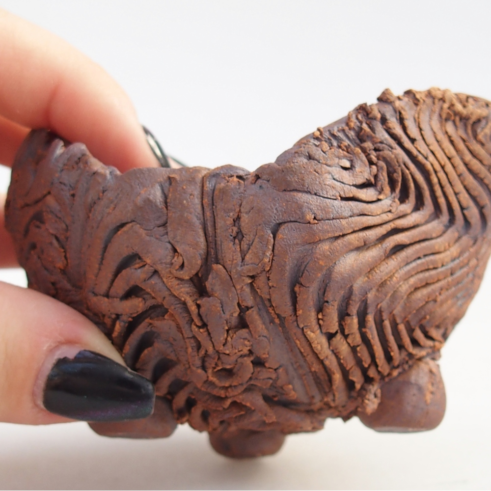 Ceramiczna muszla 8,5 x 8 x 5,5 cm, kolor brązowy