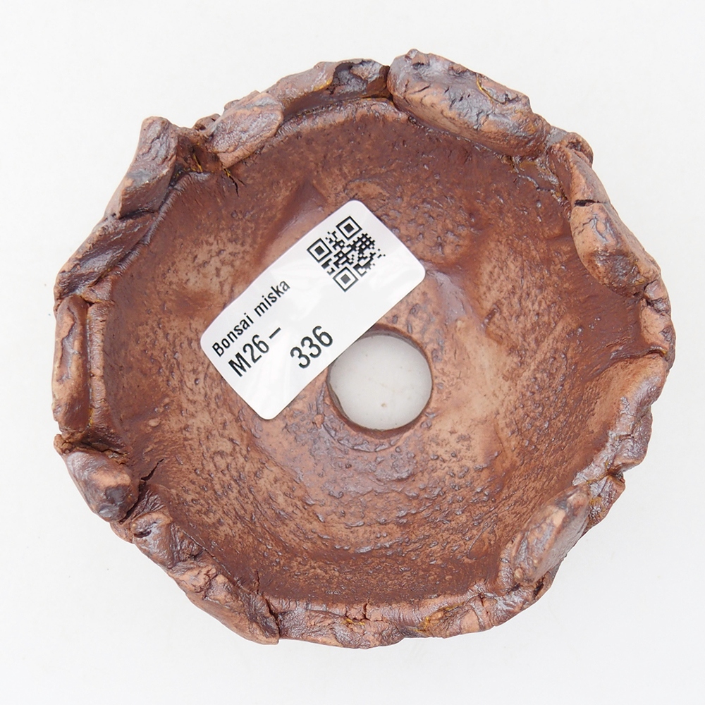 Muszla ceramiczna 9 x 9 x 5,5 cm, kolor brązowy