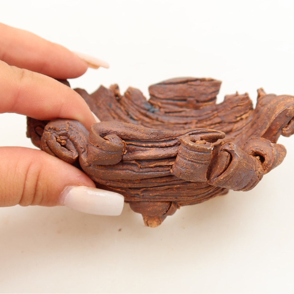 Ceramiczna skorupa  11 x 8,5 x 5 cm, kolor brązowy