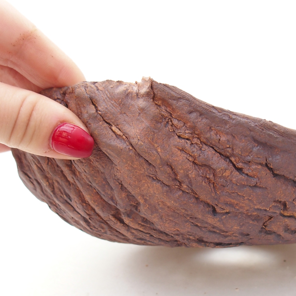 Ceramiczna skorupa 19 x 17 x 7 cm, kolor brązowy