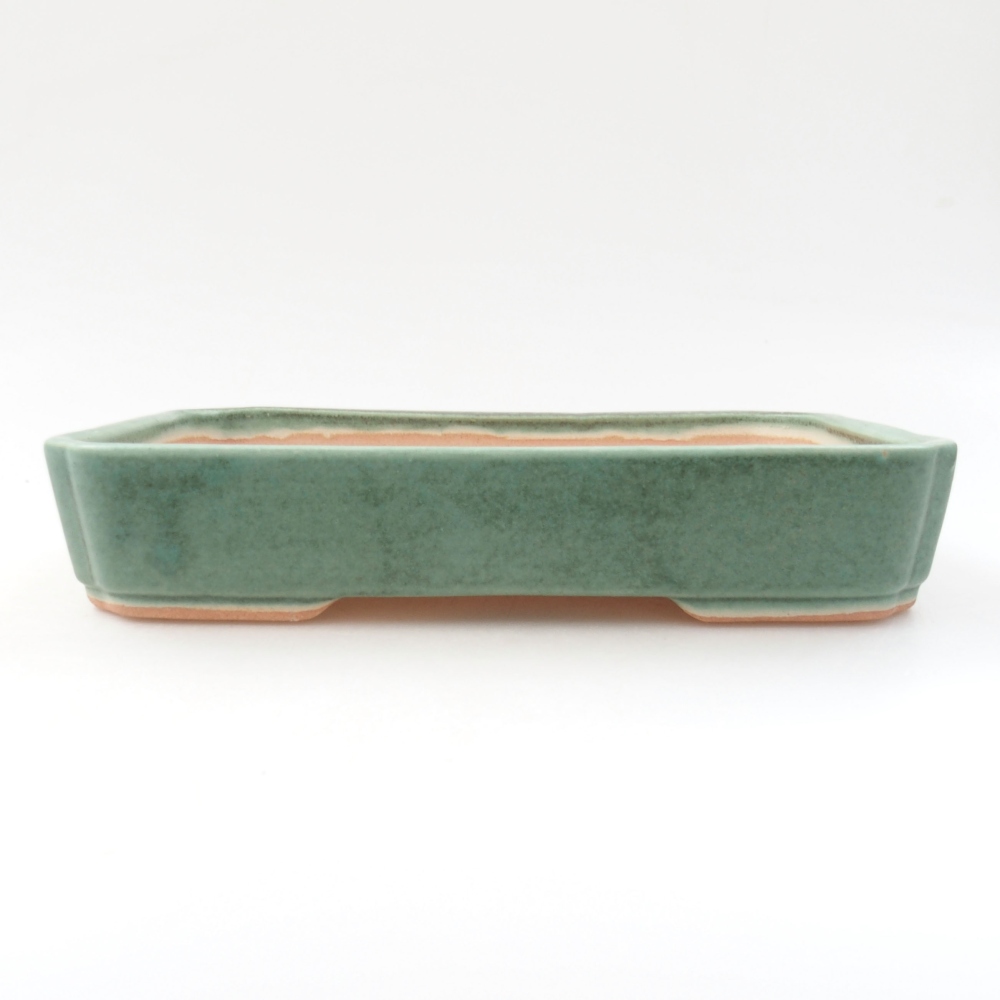 Ceramiczna miska bonsai 18 x 13 x 3,5 cm, kolor zielony