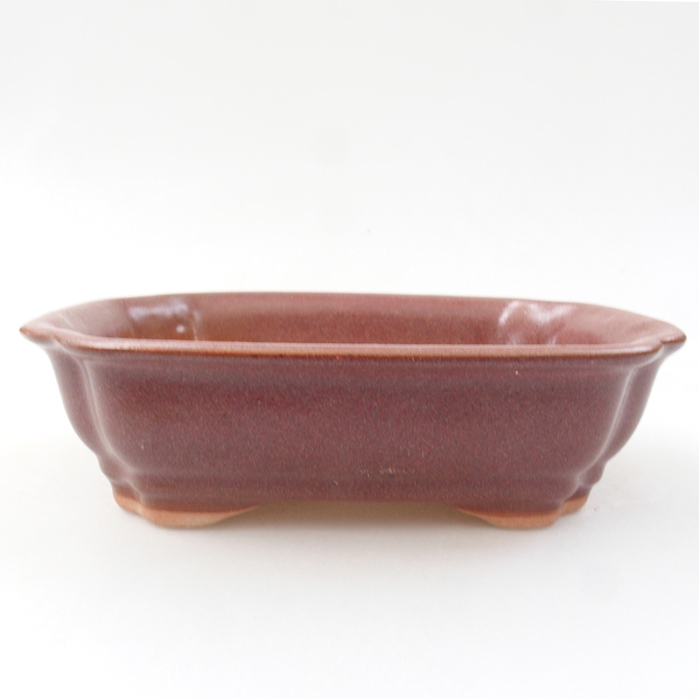 Ceramiczna miska bonsai 16 x 12 x 5 cm, kolor brązowy
