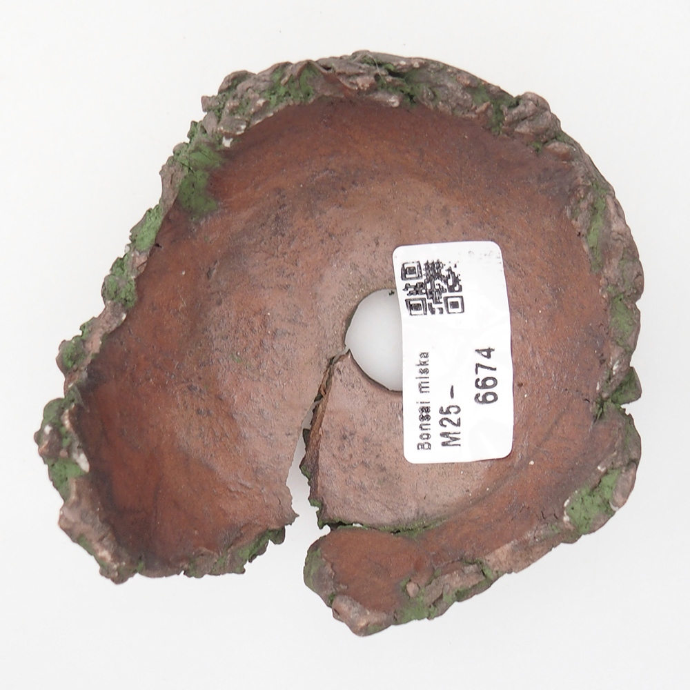 Ceramiczna muszla 9 x 9,5 x 5,5 cm, kolor zielony