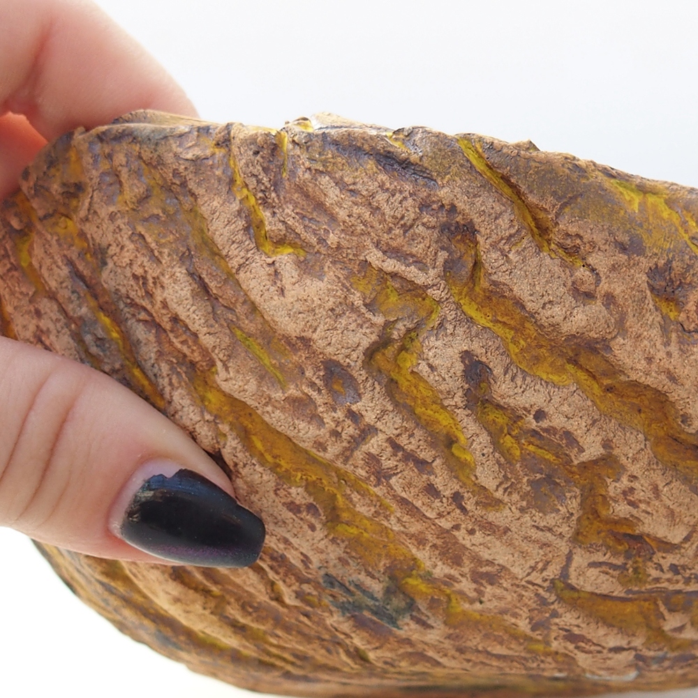 Ceramiczna muszla 16 x 14 x 7 cm, żółta