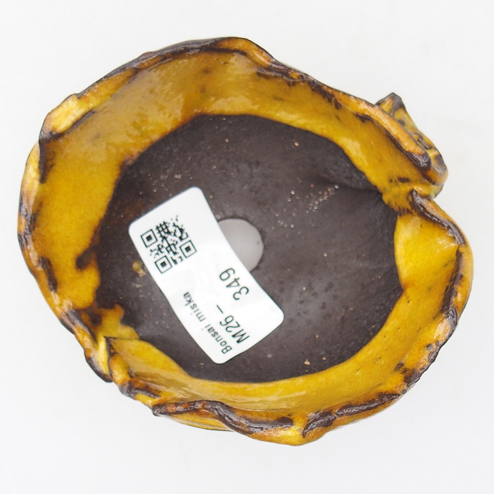 Ceramiczna skorupa 9 x 8 x 5,5 cm, żółta