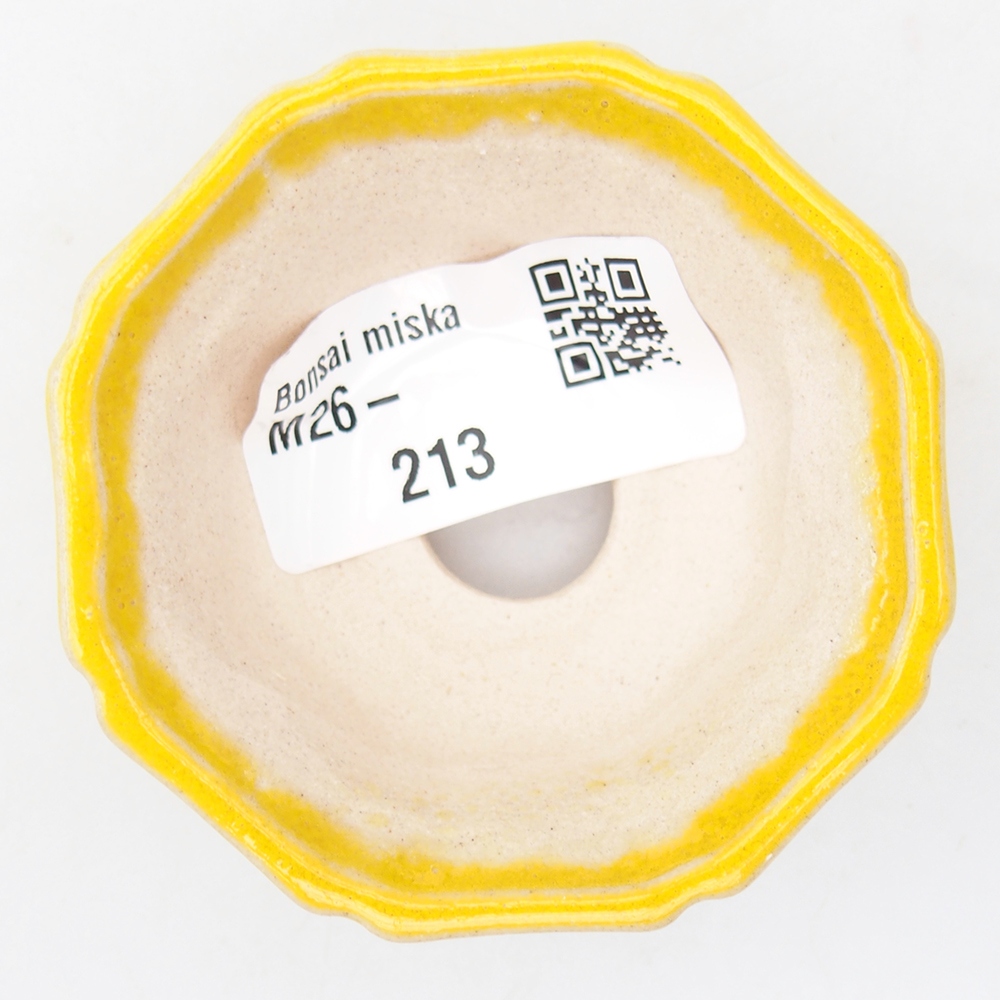 Mini miska do bonsai 6 x 6 x 2,5 cm, żółta