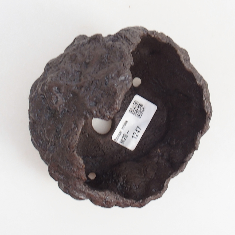 Ceramiczna muszla 11 x 10 x 14 cm, kolor brązowy